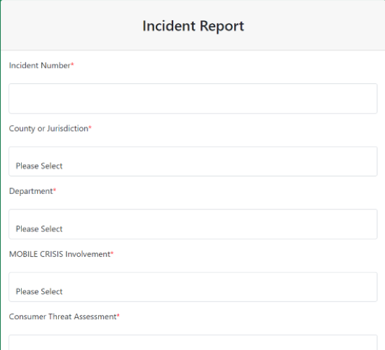 report entry form